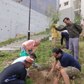 IMG-20240716-WA0022