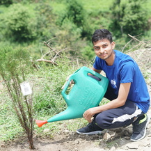 Plantation Drive 