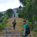 TReaking Vibes