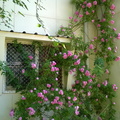 Campus