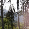 img29